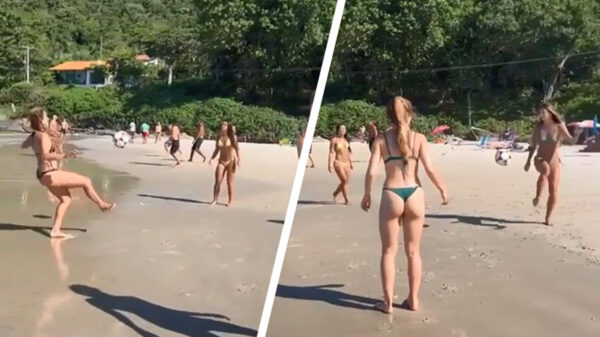 Strandgangers blijken over een alleraardigst balgevoel te beschikken