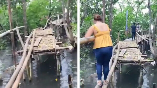 Nope, in de Filipijnen zijn niet alle bruggen even betrouwbaar