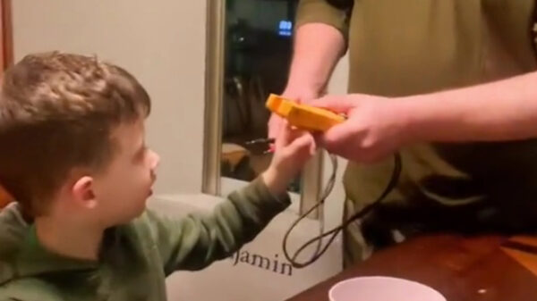 Dankzij deze lifehack eet jouw koter elke dag zijn bord leeg