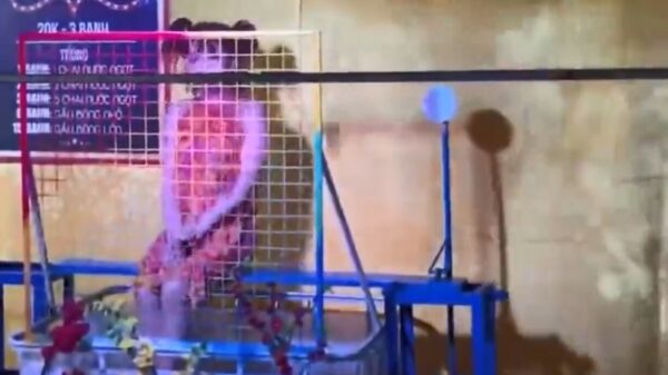 Balen dat uitgerekend vandaag een scherpschutter naar de kermis gaat