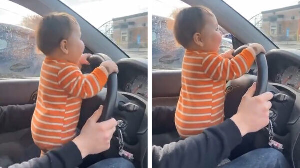 Toekomstige wegmisbruiker mag even los achter het stuur