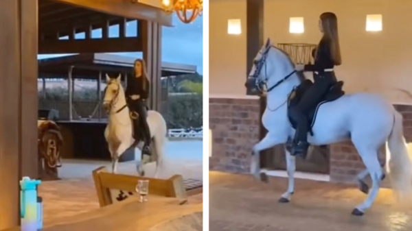 Video opgedoken hoe Samantha Steenwijk afvalt dankzij paardrijden
