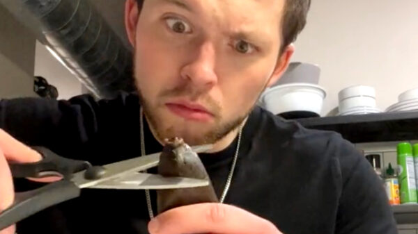 Geen zin om een smoothie te maken? Trakteer jezelf op een lekker rijp banaantje