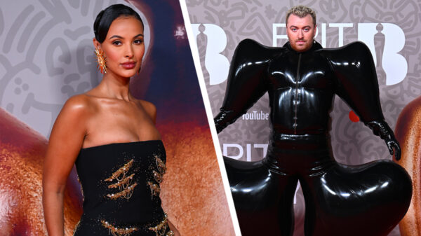 20 bijzondere schepsels die bij de Brit Awards op de rode loper hun shine pakten