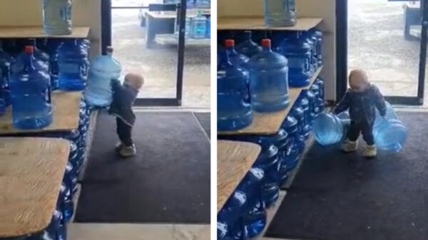 Als je geen zin hebt om te sjouwen zet je gewoon je koter aan het werk