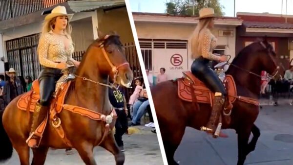 Hobbelpaard weet Anky behoorlijk door elkaar te schudden