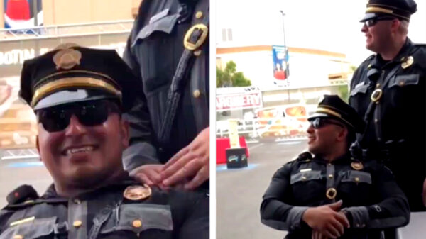 Ze bestaan nog: 'varkens' die een goed gevoel voor zelfspot hebben