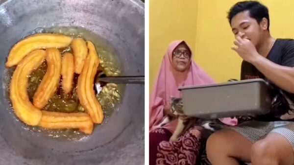 Moeder draait doorrrr: even een 'drol' uit de kattenbak nassen