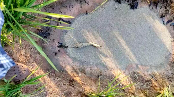 Voor welk bedrag zou jij je een kwartiertje in dit water onder dompelen?