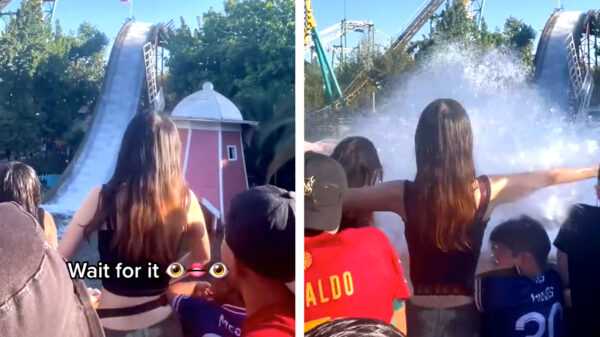 Onderaan deze attractie staat hen een mooie verrassing te wachten