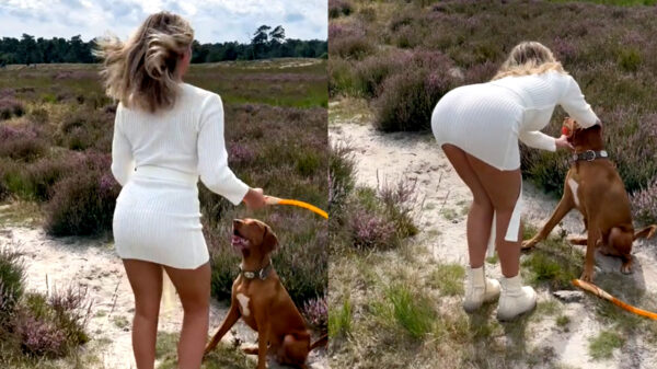 Goedemorgen: Lisa ter Horst laat zien dat je ook zonder talent succesvol kunt zijn