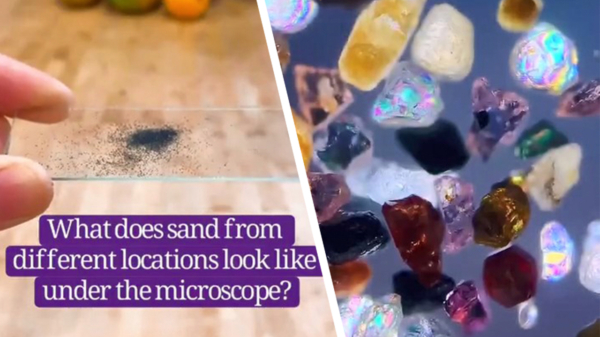 Zo ziet zand van verschillende locaties onder een microscoop eruit