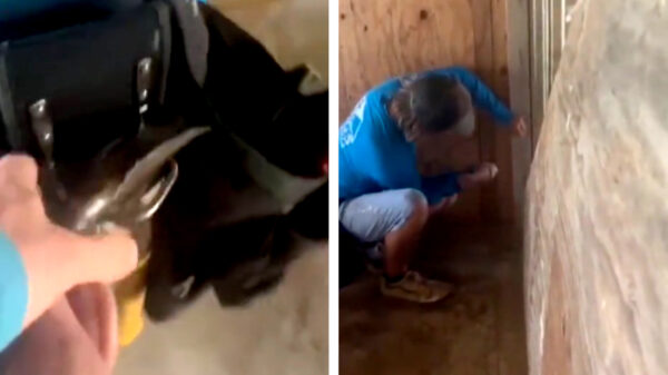 Niets leuker dan je collega timmerman op de werkvloer pranken