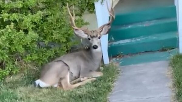 Pas op: hier waak ik