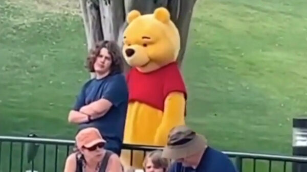 Hey kijk, daar heb je Winnie de BOE