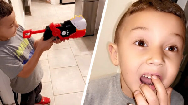 Koter vertrouwt z'n moeder nooit meer nadat ze helpt met zijn wiebeltand