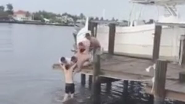 Houten steiger delft het onderspit bij klungelige reddingsactie