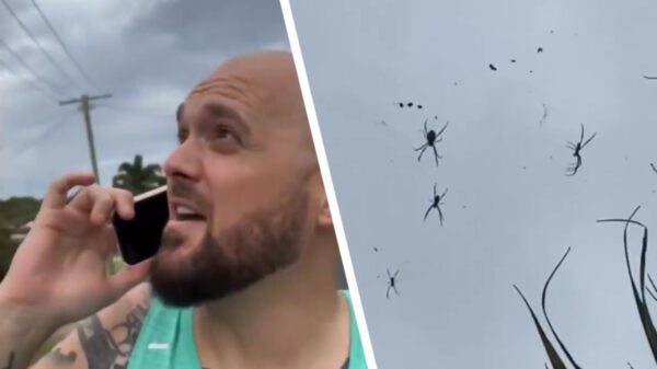 Nope, bekijk het maar, we gaan wel verhuizen