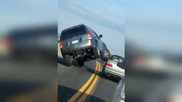 Bekijk hier aflevering 3 van het magnifieke tv-programma Hufters op Beeld