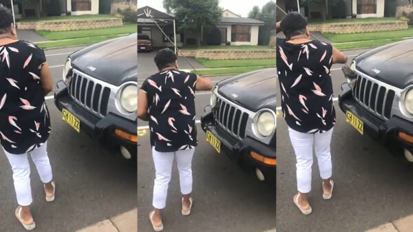 Oma probeert vogel te redden die tegen haar auto aan is gevlogen