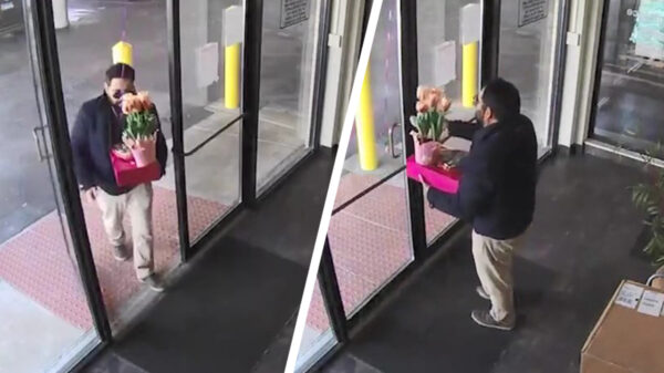 Soms heb je nou eenmaal van die dagen dat echt álles tegenzit