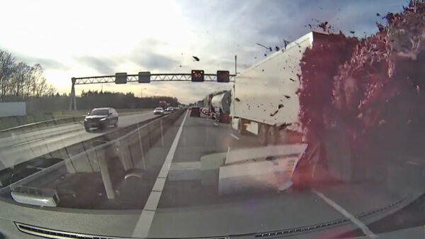 Dat moment dat je bijna 10 ton slachtafval op je voorruit krijgt op de A67 richting Eindhoven