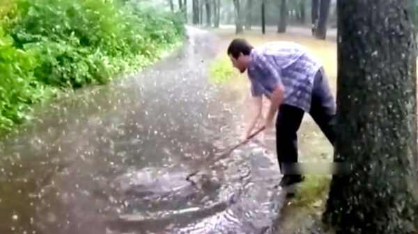 Zo bevredigend kan het zijn om een volgelopen putje te ontstoppen