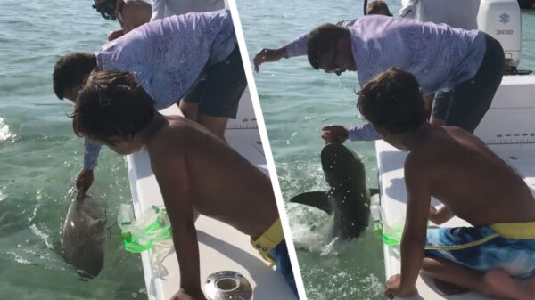 Papa doet wel even voor hoe je een haai met je blote mannenklauwen vangt