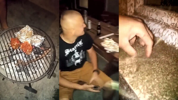 Vrienden proberen te BBQ'en maar worden lastiggevallen door een paar insecten