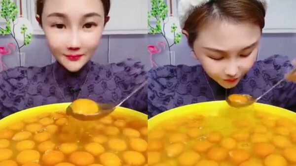 Goedemorgen: we beginnen de dag met een lekker eitje als ontbijt