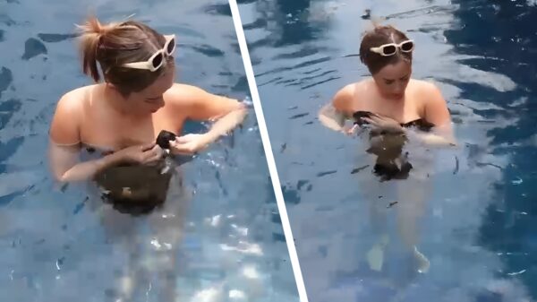 Verras je vriendin eens met een oplossende bikini