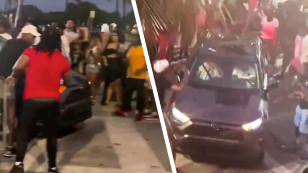 Idiote Spring Breakers vinden het nodig om half Miami te slopen