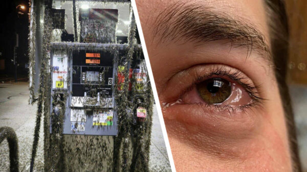 17 foto's die eigenlijk helemaal niemand wil zien