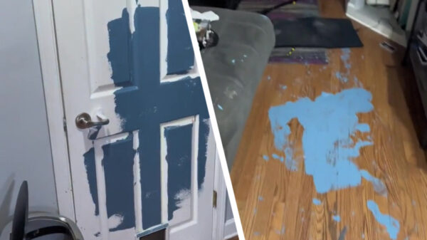 4-jarige koter verrast mama met een nieuwe likje verf in huis