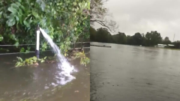 Amerikaanse Truus heeft de buitenkraan weer eens open laten staan