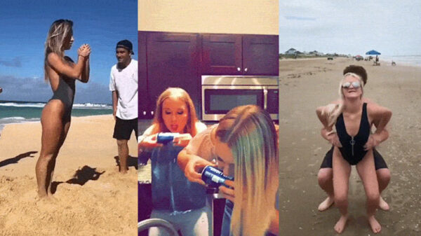 Een verzameling heerlijke gifjes waarin chicks hard op hun plaat gaan