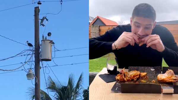 Rico Verhoeven krijgt weer bakken met kritiek na 'misplaatst' grapje op TikTok