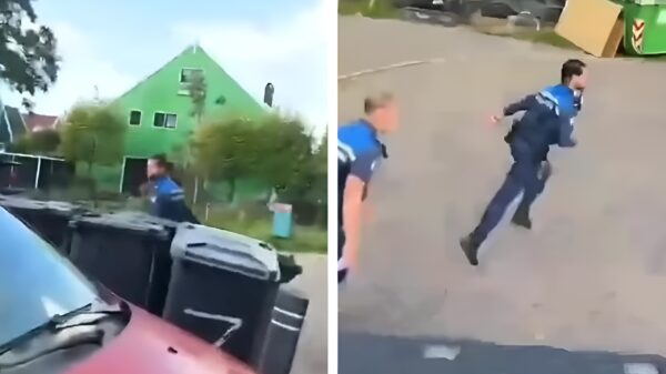 Dreigende mafkees laat handhavers er als een haas vandoor gaan