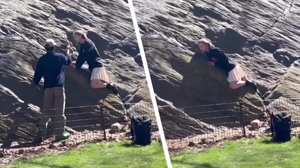 Deze dame is gewoon heel erg gek op haar rots