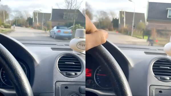 Man in het West-Friese Sijbekarspel verlost een verlaten flitser uit zijn lijden