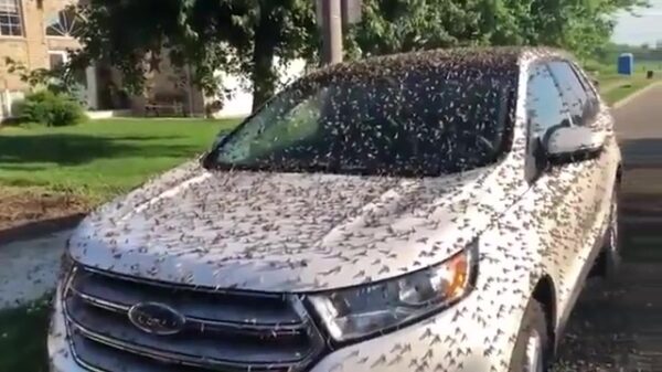 Hans, get ze flammenwerfer!