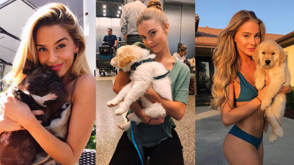 Dierendag 2019: een gallery met onze beste vrienden en hun fijne bazinnen