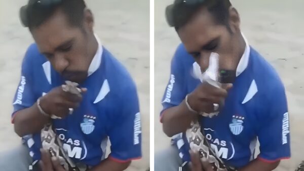 Speltip 776: kus een slang nooit op z'n kop