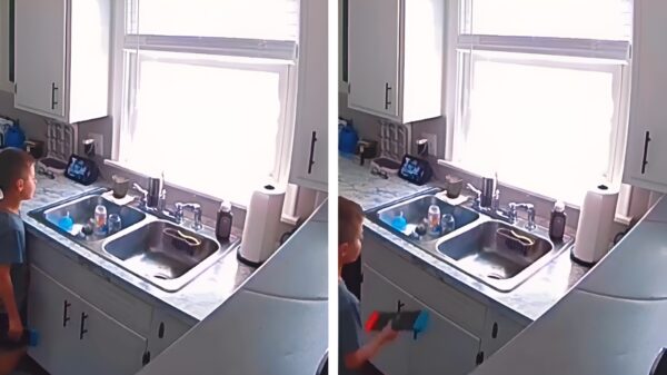 Klein baasje boos vanwege wachtwoord op zijn Nintendo en sluit zijn pa buiten