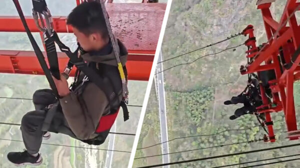 Welkom bij de meest geflipte schommel ter wereld