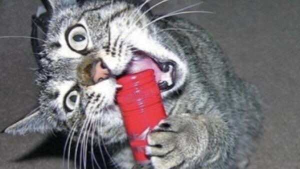 Hotssjeeeeéé het is weekend!