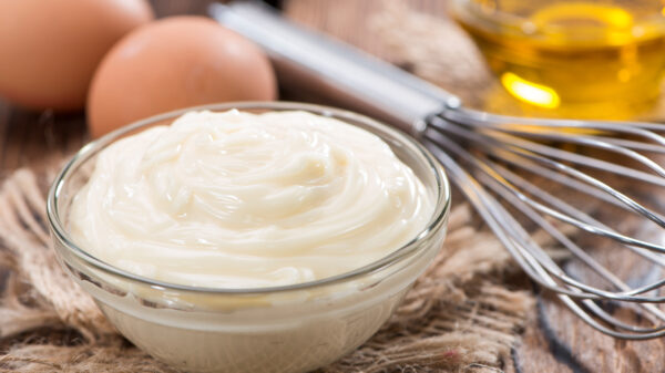 Wat is de lekkerste mayo?