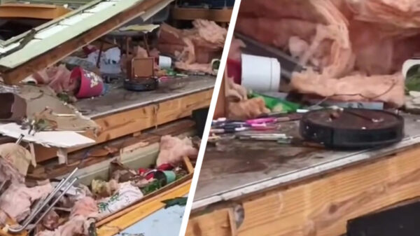 Als dit geen goede reclame voor de Roomba is dan weten wij het ook niet meer