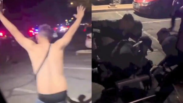 Politiehond werkt verdachte snel en efficiënt naar de grond