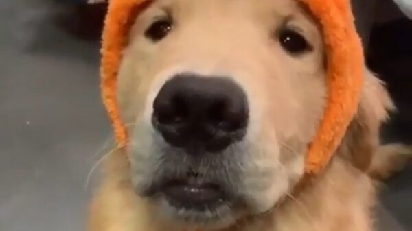 Godnondedju, wat is het koud hè